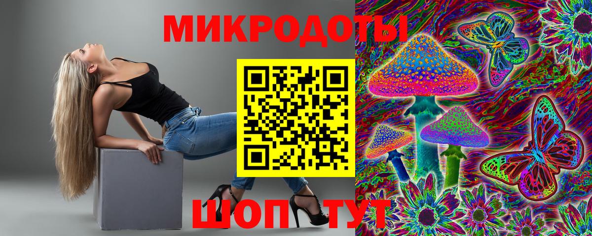 Галлюциногенные грибы Cubensis  Псилоцибиновые грибы Psilocybe  Вход с VPN  Гай 