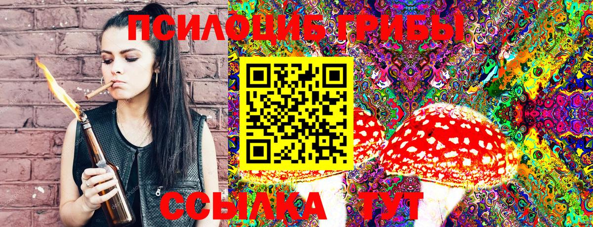 Псилоцибиновые грибы Magic Shrooms Гай